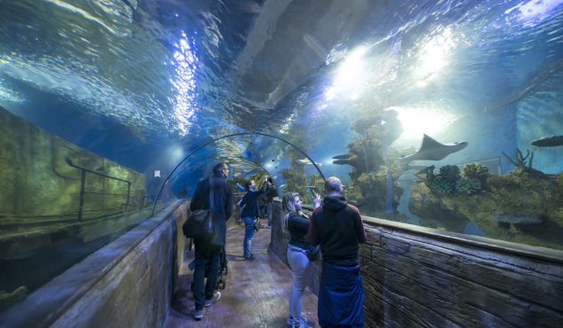 Malta National Aquarium